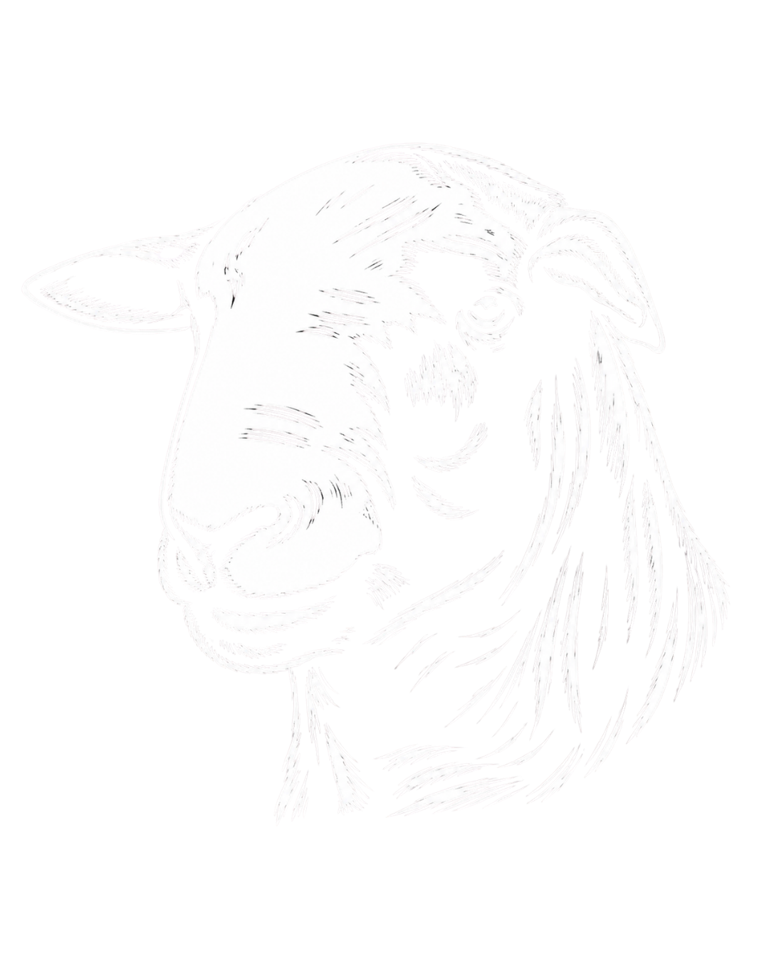 Ícone de cabeça de ovino